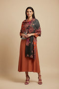 S02 - Paisley